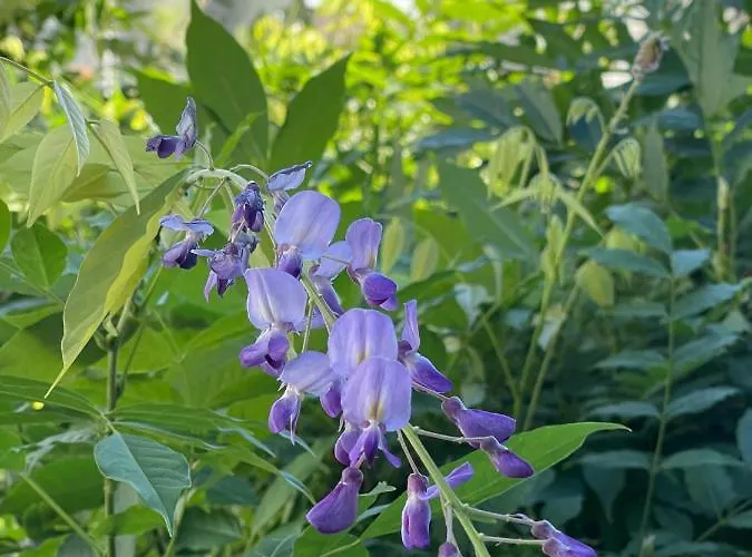 Apartamento Here's Lucy Ámsterdam