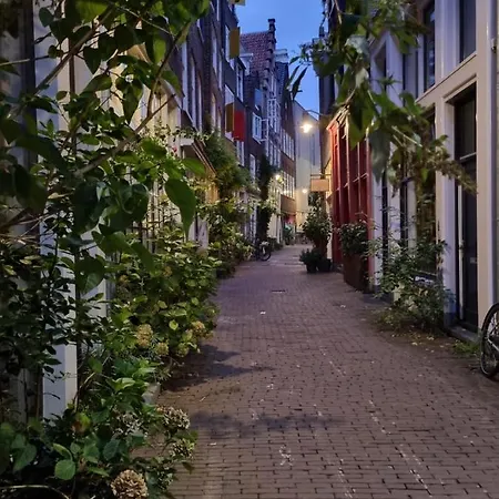 Here's Lucy Άμστερνταμ