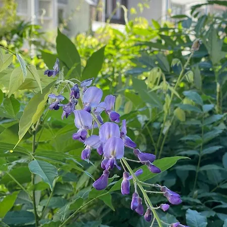 公寓 Here's Lucy 阿姆斯特丹