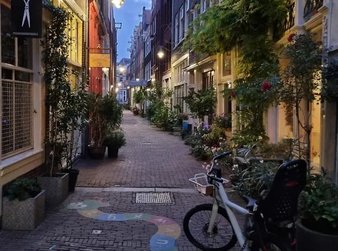 Apartment Here's Lucy