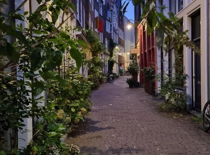 Here's Lucy Amsterdam